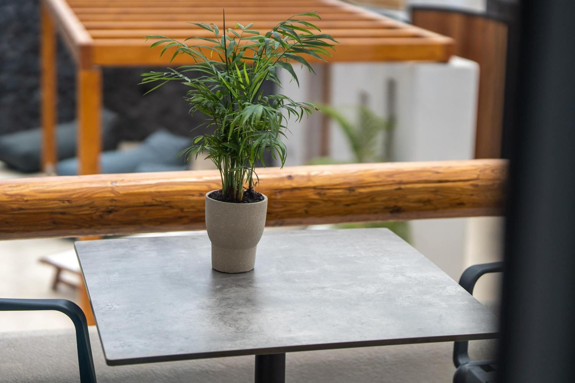 Aparthotel Lymarou Collection Megalochori  Zewnętrze zdjęcie